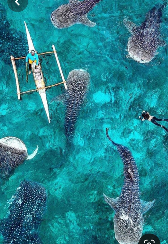 Screenshot_20230611_213821_Pinterest