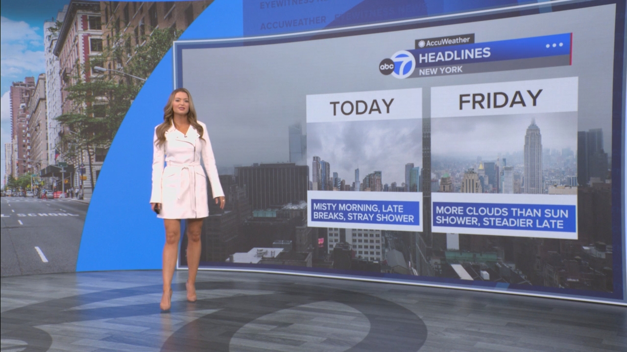 Eyewitness News Mornings at 10_20250529_15001600.ts_snapshot_00.49.41.267