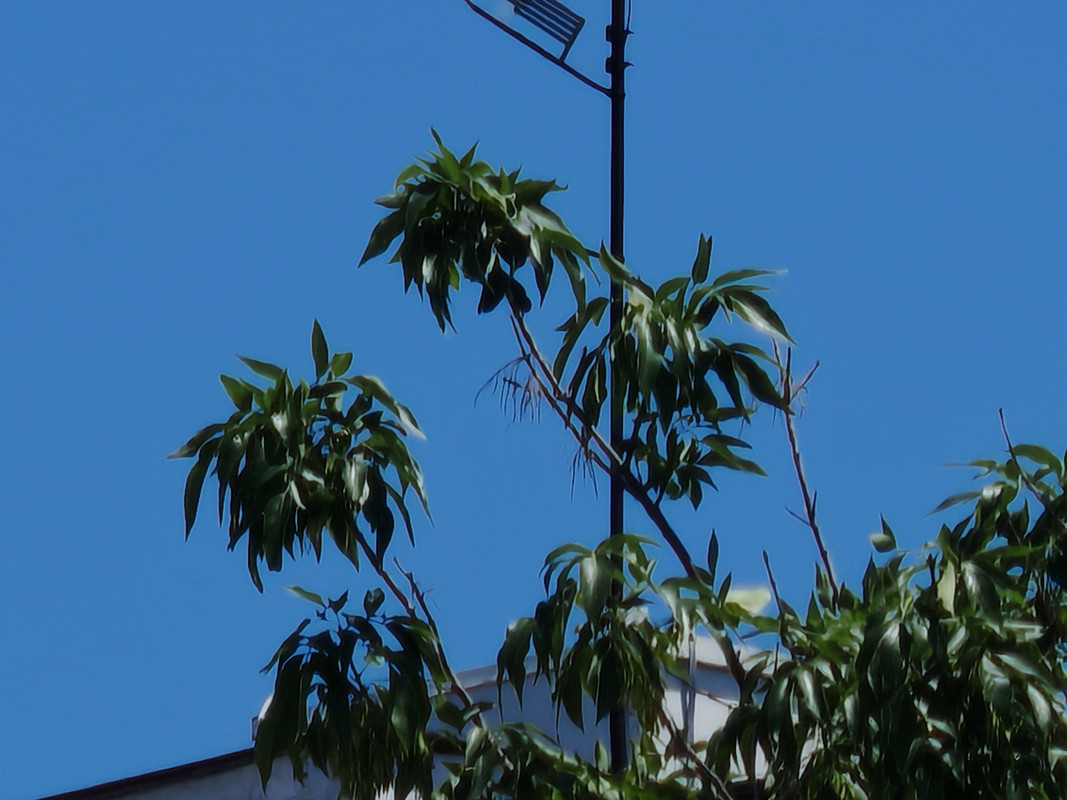 IMG_20250625_132546_ENHANCE001