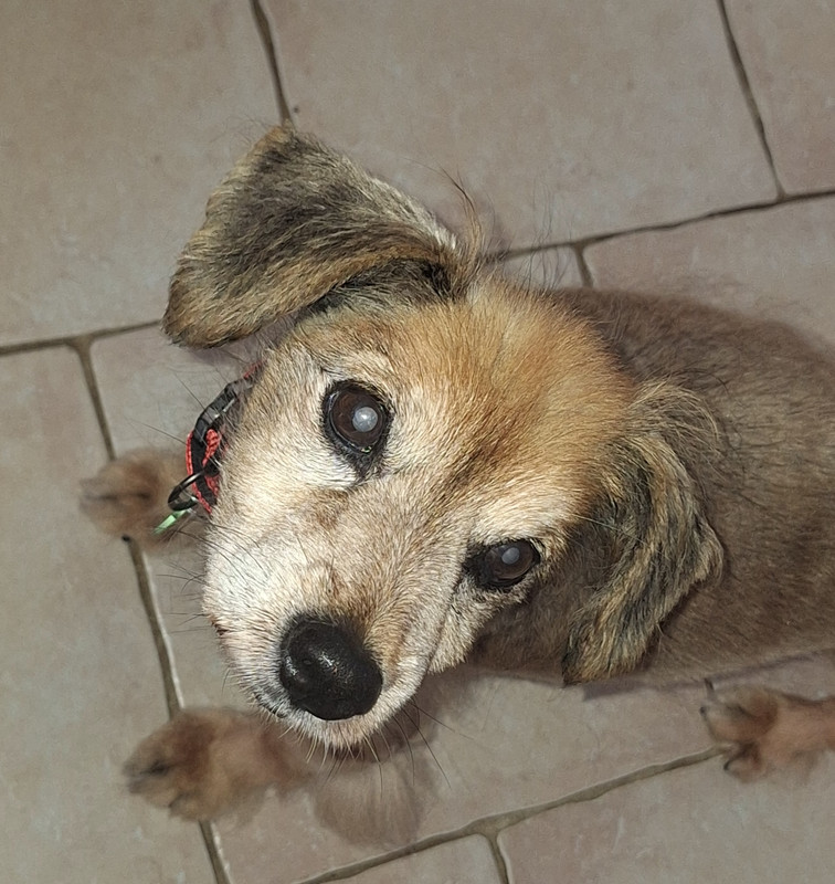 [Image: 20241022-131327.jpg]