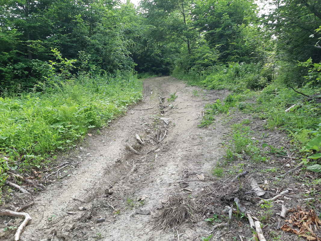 09.05c - 20220616_170605 (PiTT)