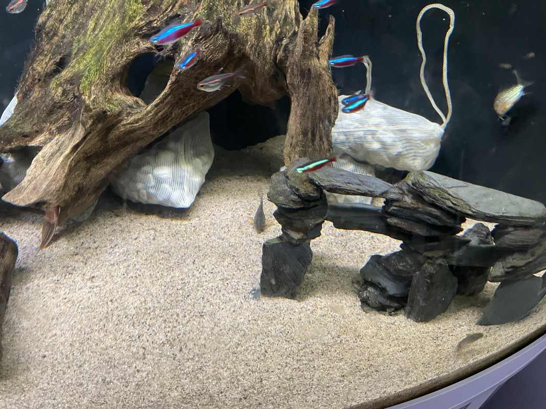 Matrix aquarium sales