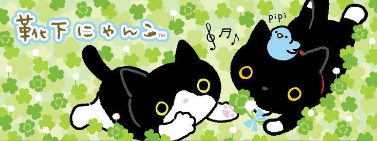 jumo's banner