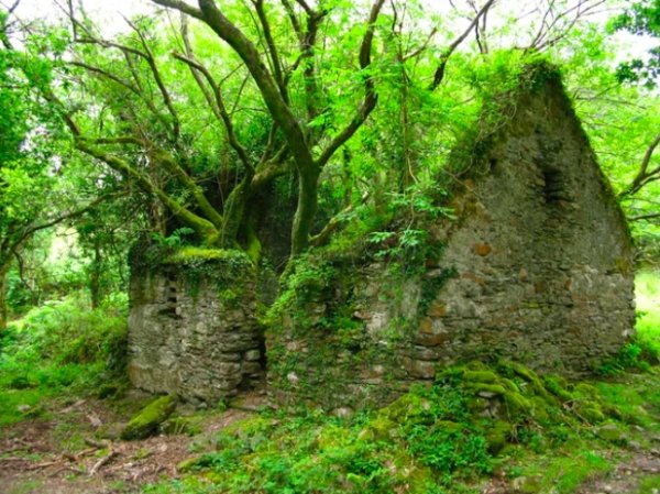Nature-16