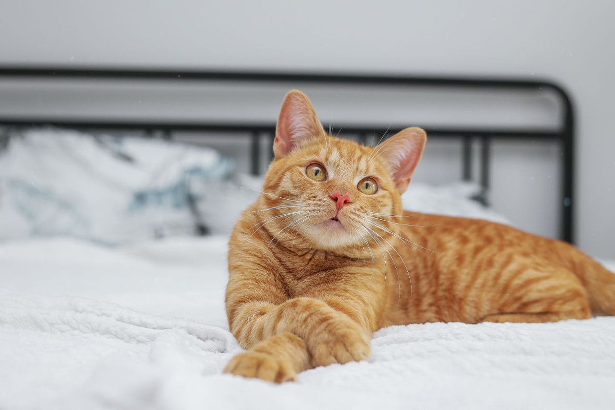 photo_2023-08-17_17-54-38 (2)