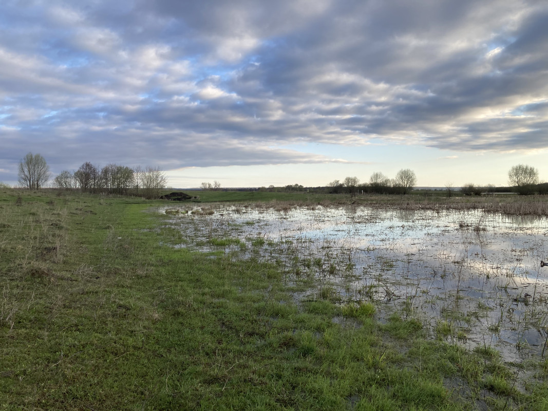 BD6130C5-8DA2-4459-9C3A-5AE68A26FB0A