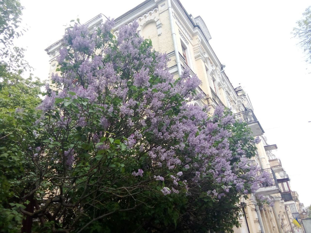 photo_2025-05-01 7.35.29 пп