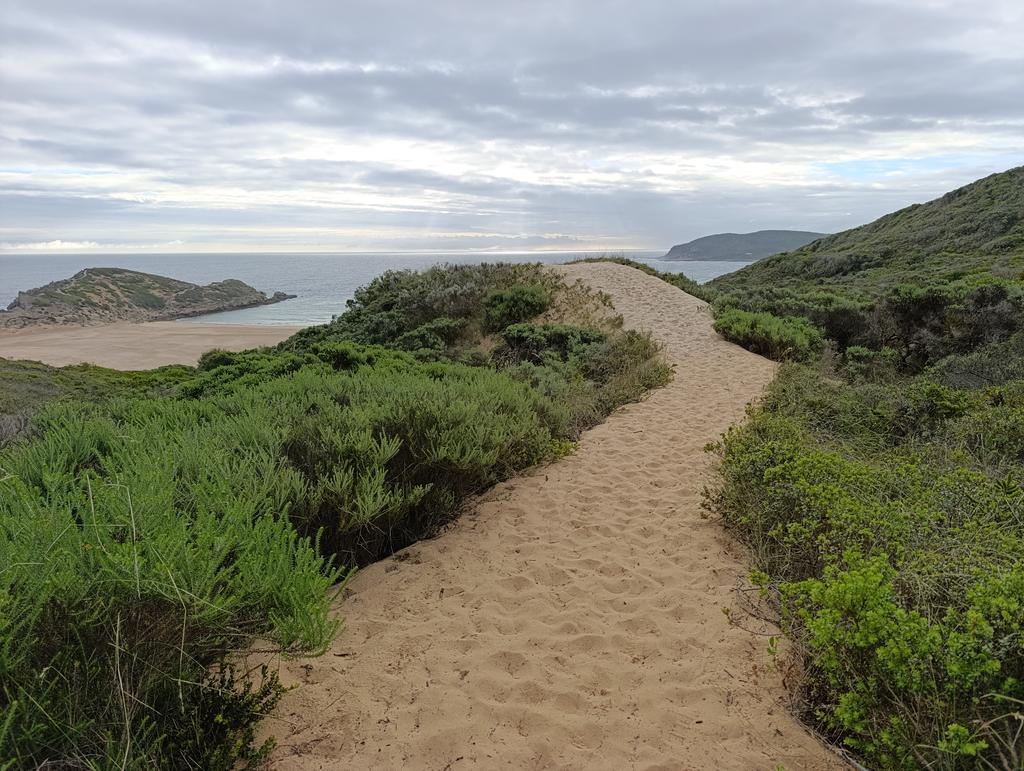 Такая близкая Африка. (ЮАР. 22 дня и 4200 км. Ноябрь-Декабрь)