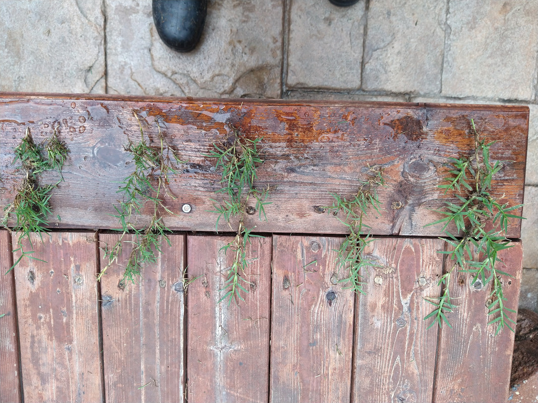 IMG_20210620_135235910