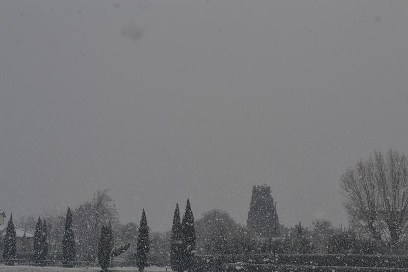 DSC_0085