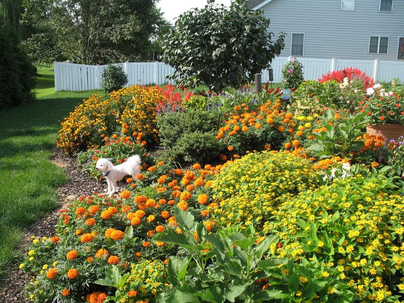 Lawn and Gardens 08.12.2018  (3)