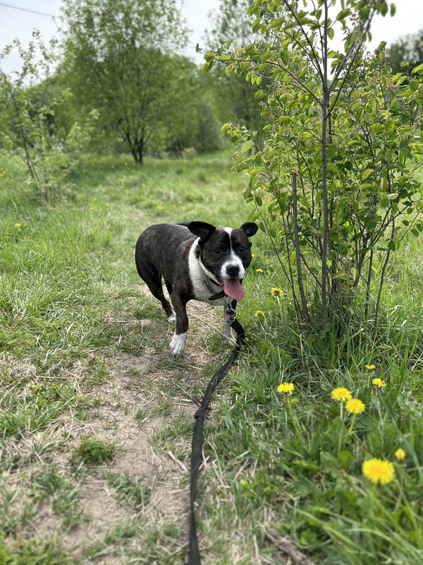 0C418C5E-3798-4F97-A476-9EAD3591FB06