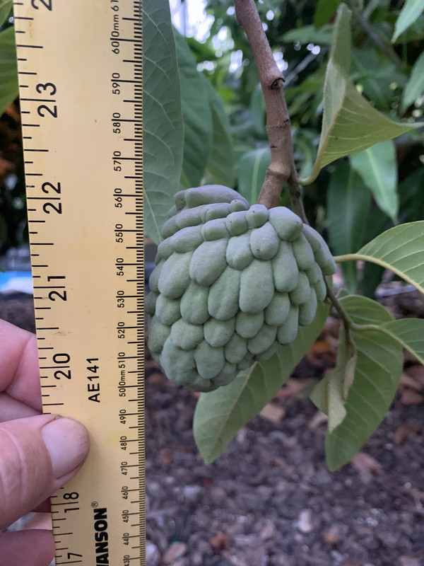 17CD7561-4867-47AE-91C9-1600F75B30AD