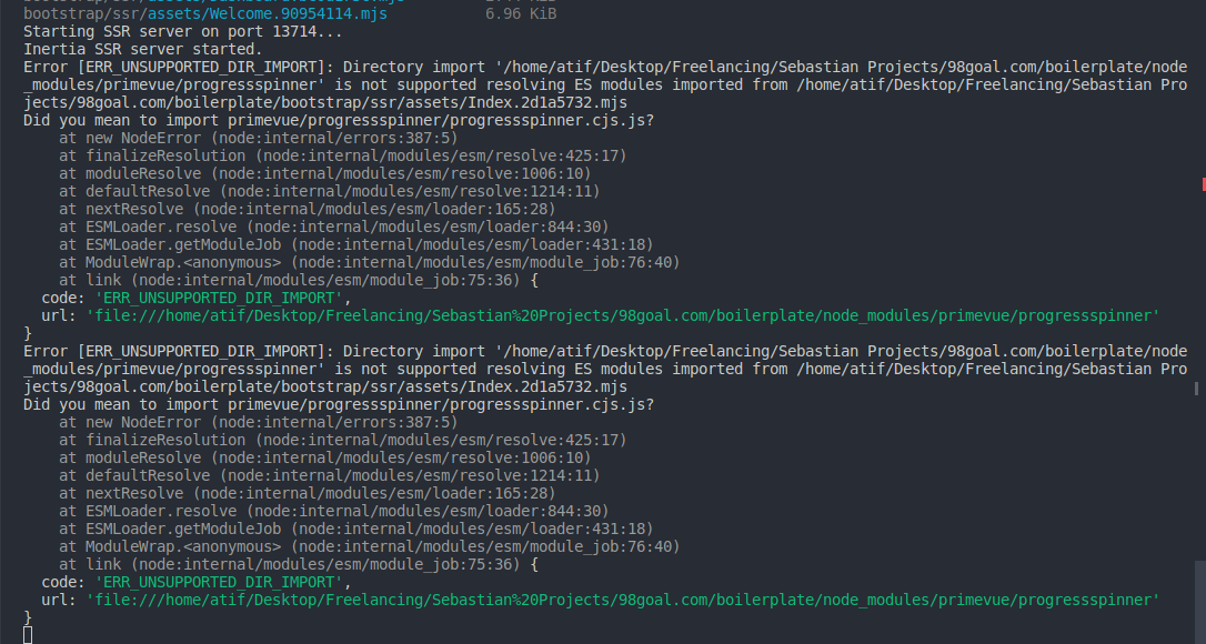 primevue related errors in ssr console
