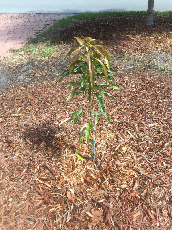 9FD07935-1D95-437B-906A-D81B3BAAADF1