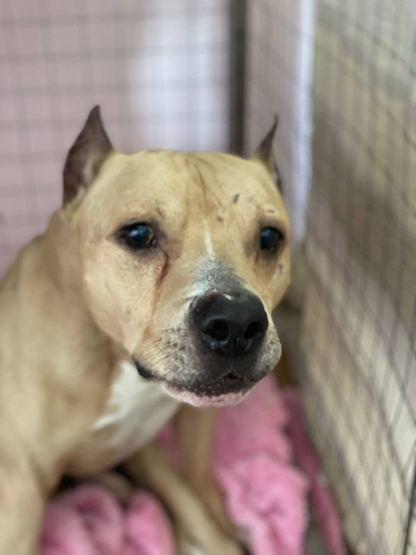 E9FAD3C8-CA4A-4BAC-9D87-6A958601BA15