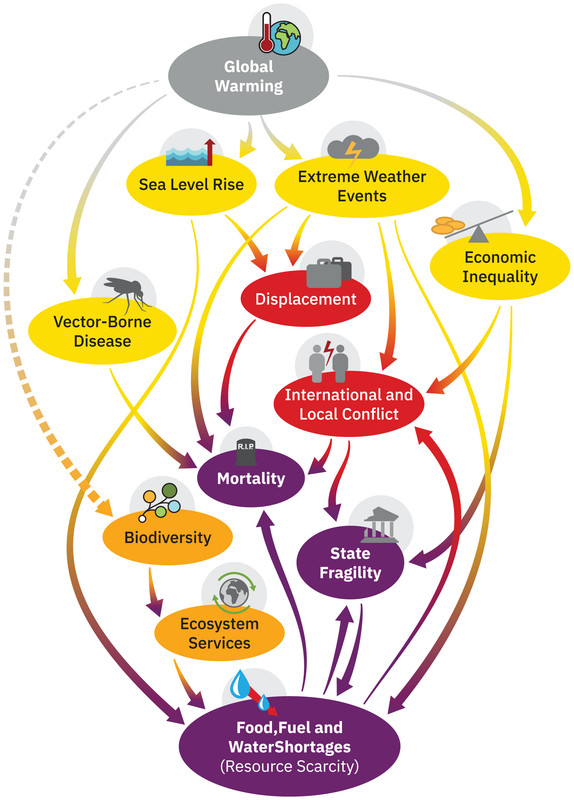 How risk cascades could unfold