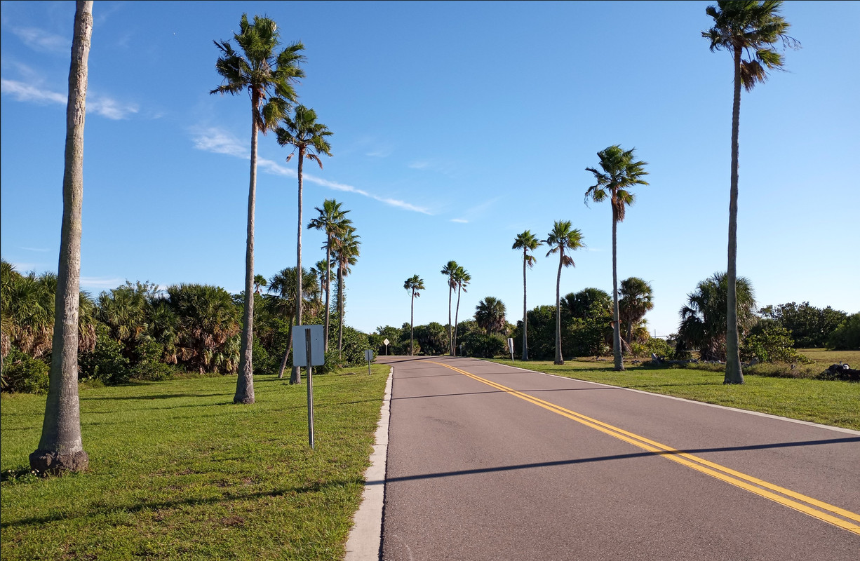 [Image: Florida3.jpg]