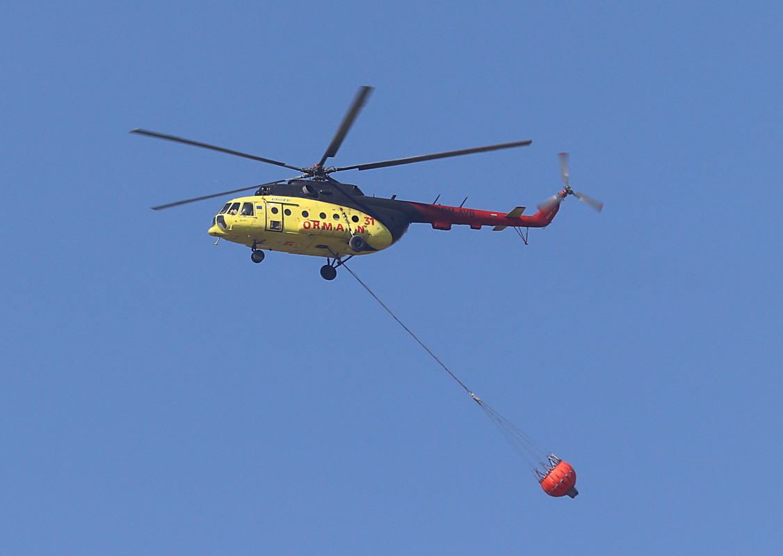 DLM_September22_ (9)