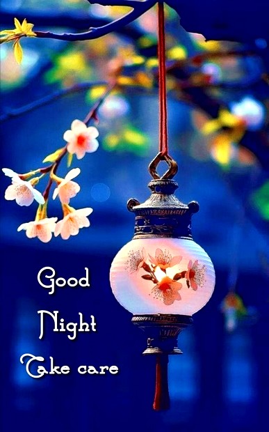 good-night