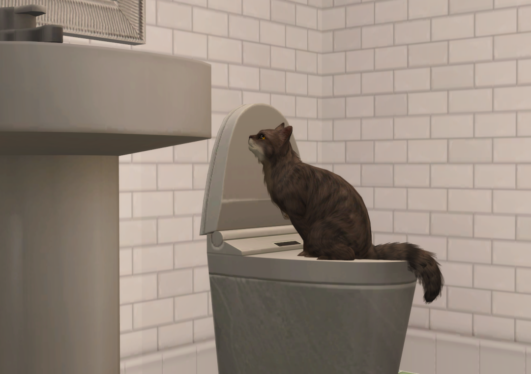 Sims2-EP9-RPC-2023-06-22-21-01-15-11