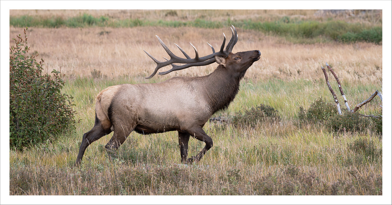 Ed2000-2x1TopazNik_DSF8317-Enhanced-NR copy