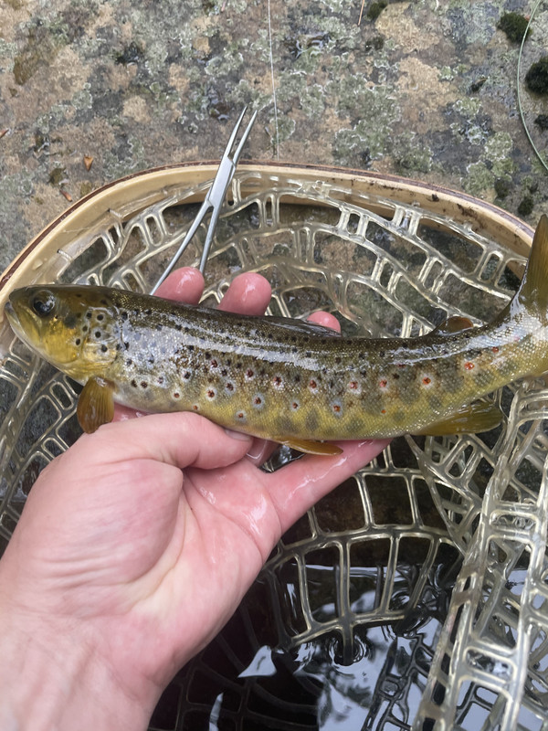 543C08C2-D7F1-43A9-8F48-189514F1B331