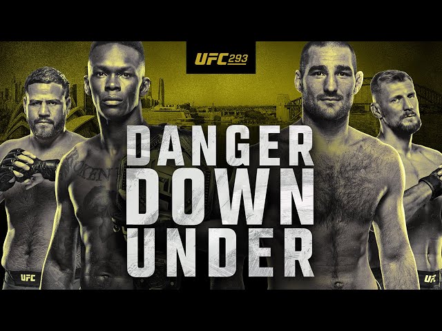 Резултати от UFC 293