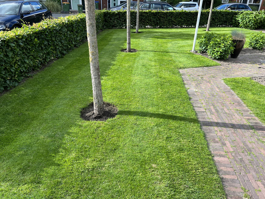 CA88129C-9A1D-40FC-B2EF-E31576BAC41A