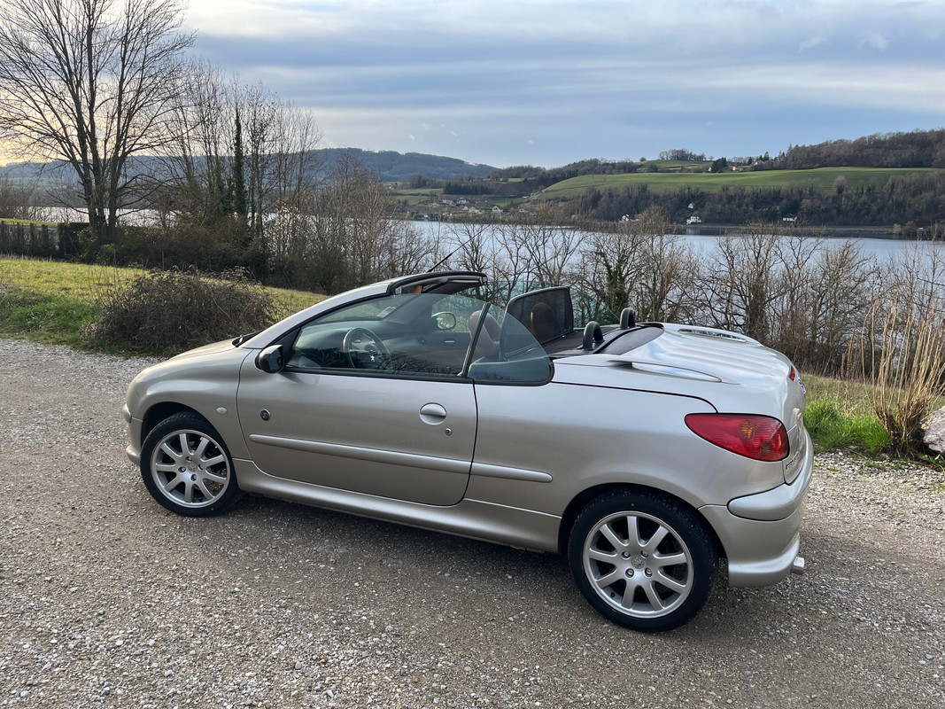 [Image: 2024-02-19-6.jpg]