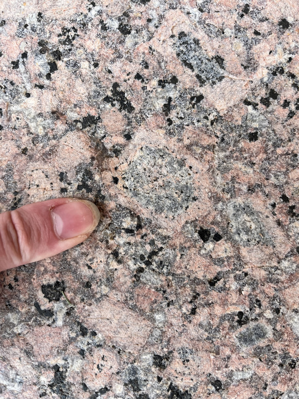antirapakivi: plagioclase feldspar (grey) rimmed by alkali feldspar (pink). this example is about 3.5 cm in diameter