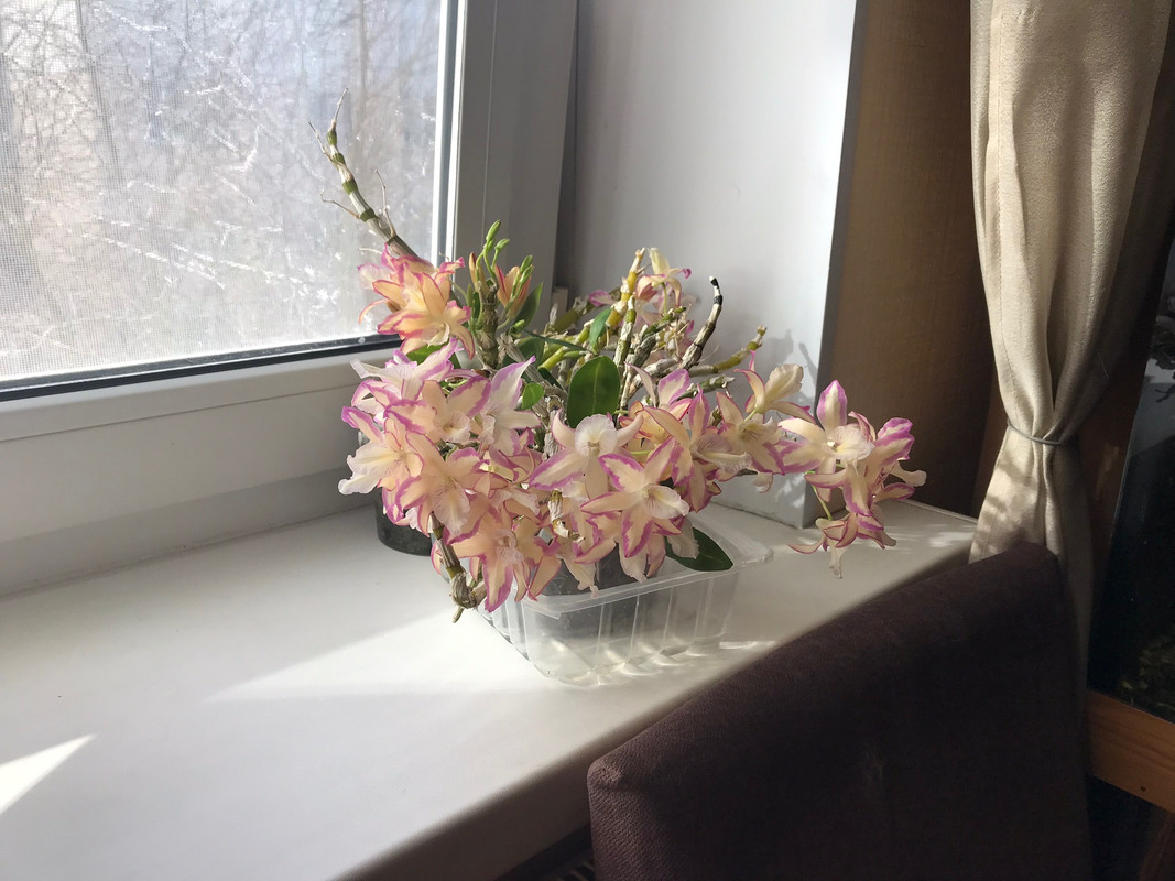 2683E8B2-24E4-4D05-A6C6-A0794387AD7D