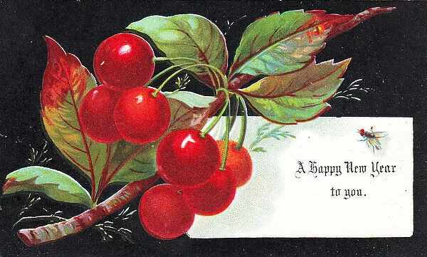 red-cherries-new-year-card-14243649-jpg