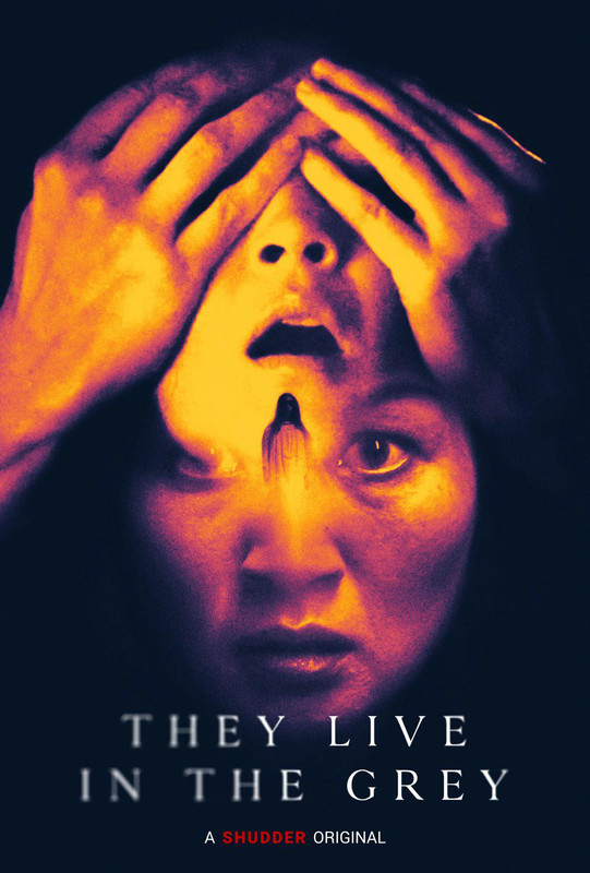 Oni kryją się w mroku / They live in the grey (2022) PL.480p.WEB-DL.XviD.DD2.0-K83 / Lektor PL