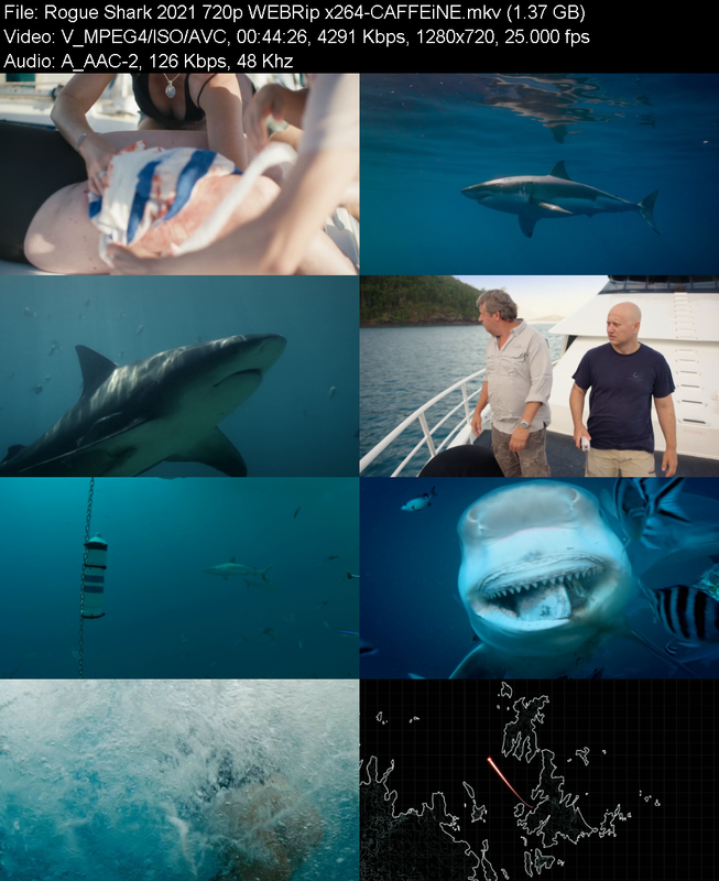 rogue-shark-2021-720p-webrip-x264-caffei