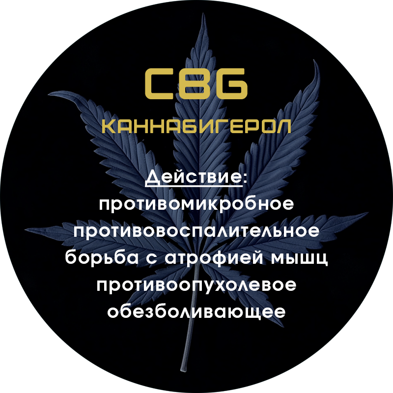 cbg-tr.png