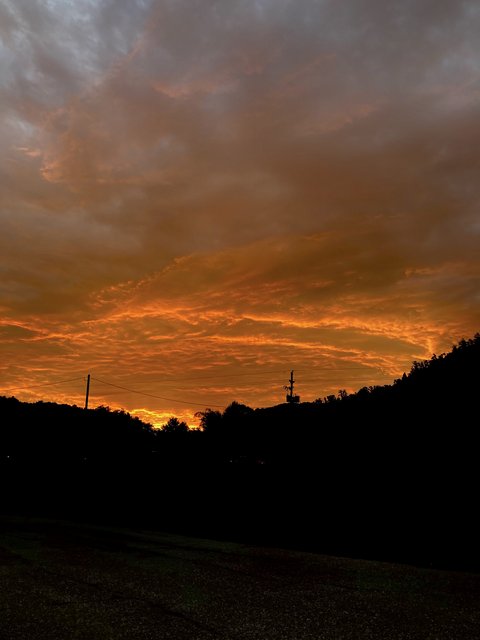 4AFE64E6-3EE6-45EE-A9DD-C9C0AE36D15D