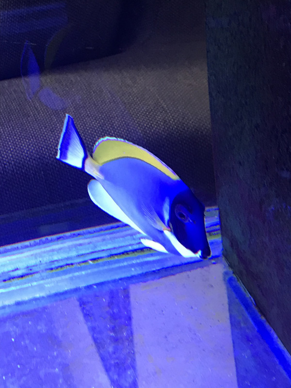 2CF43055-43D0-444C-8940-B19BDCA1374D