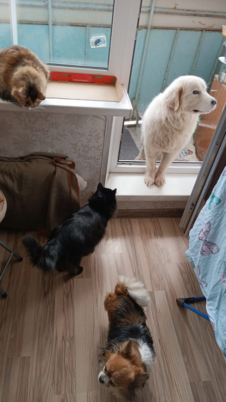 E2A40496-BCE9-4F45-BE17-BA9EFB7A58A1