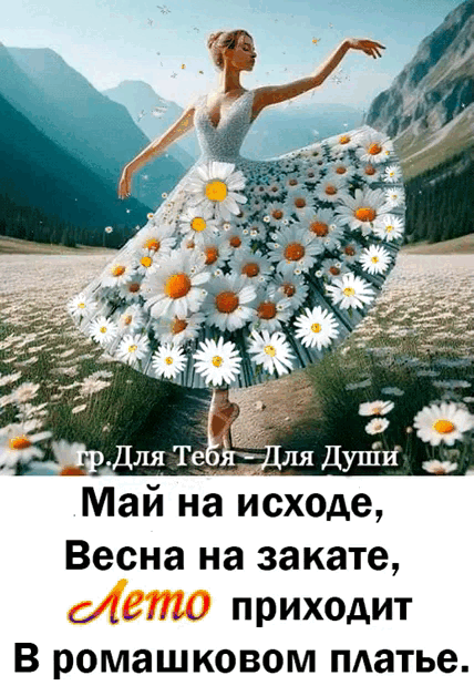 g-g-e-p-w-bp-gif-gif