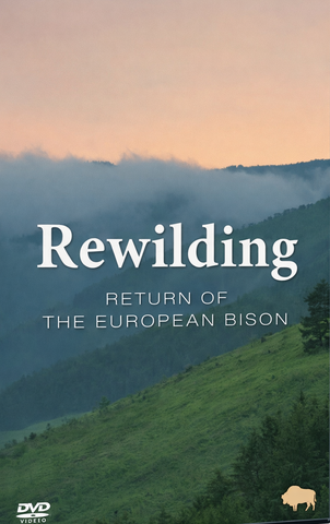 [Kép: Rewilding-Europe.png]