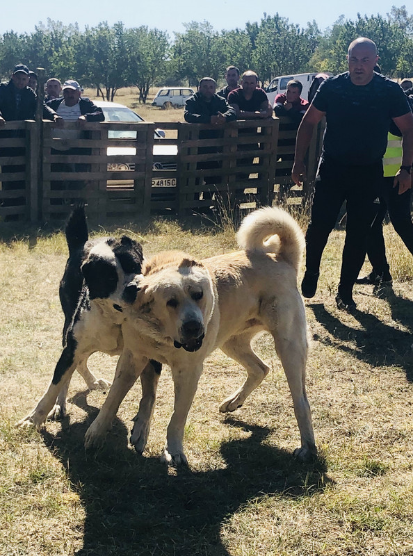 76697576-87E8-4BD1-AA32-C500B3B4FF44