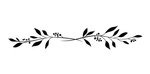 divisore-monocromatico-elegante-floreale-due-260nw-2310527373