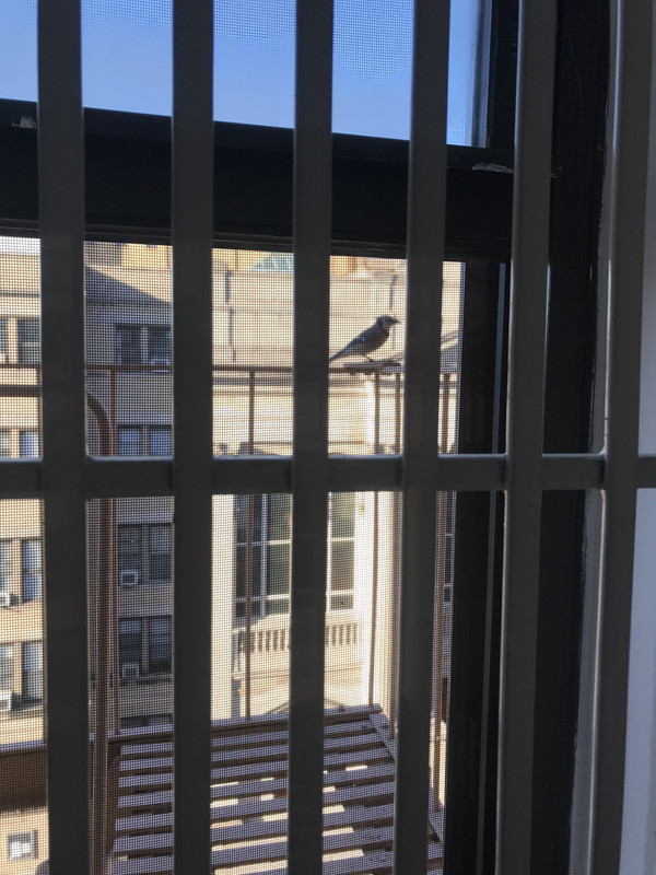 3336669F-59DE-4C72-A808-1B1F50A4F209