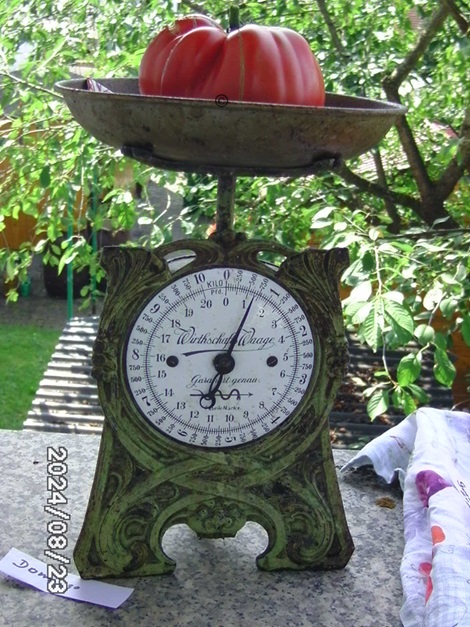 [Bild: BILD0346.jpg]