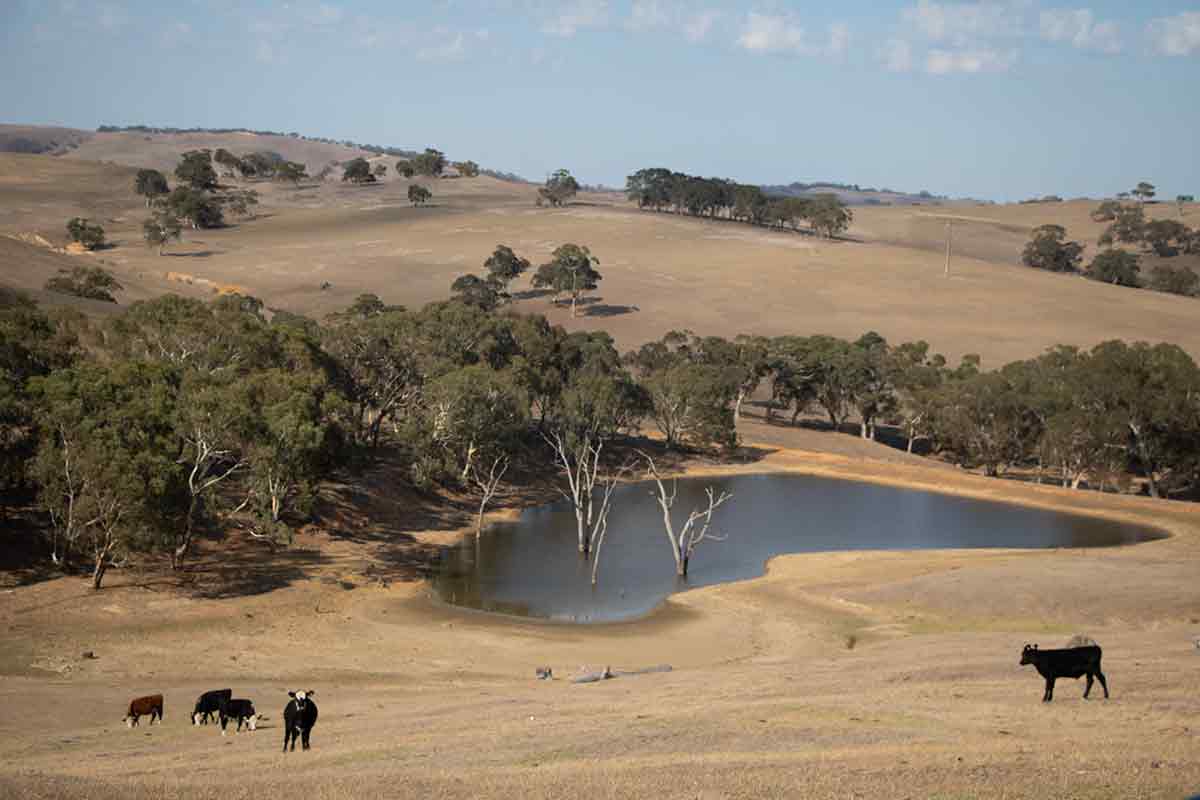 Dry South Australia
