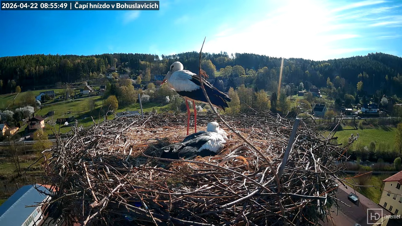 Tiešraide no KARA uzņēmuma stārķu skursteņa Bohuslavicē netālu no Trutnovas 12 3 25 screenshot (1)