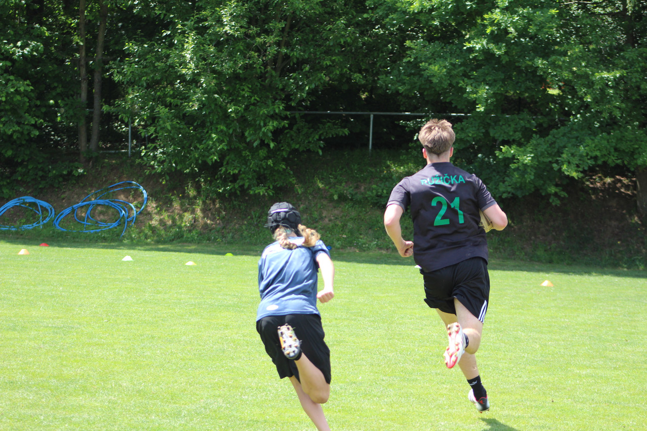 IMG 7344