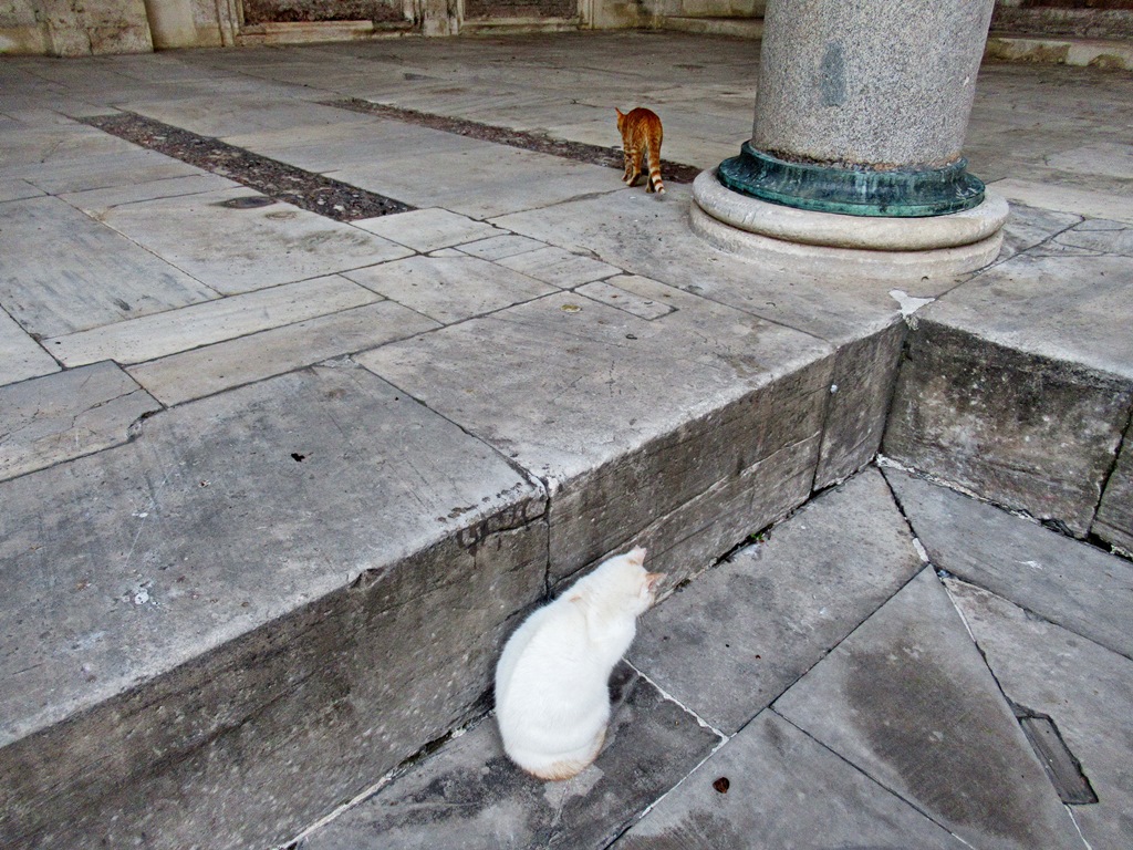 Падение Стамбула и Эдирне, в который ехать не обязательно