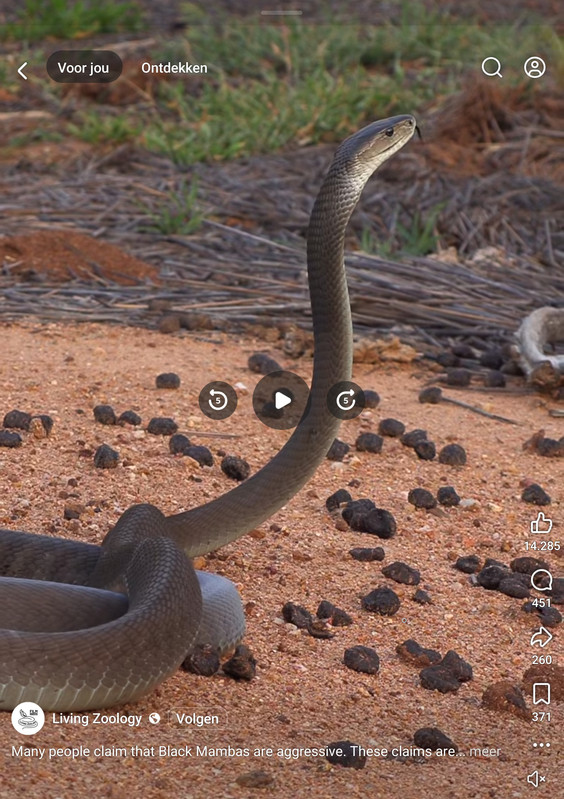 AISelect 20260110 151853 Facebook